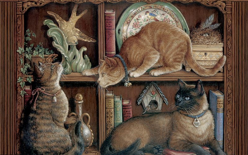 Feline bookcase, cat, art, janet kruskamp, pisici, HD wallpaper