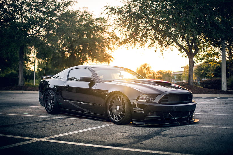 Ford Mustang Shellby Black, ford-mustang, ford, wheels, alloys, custom, HD wallpaper