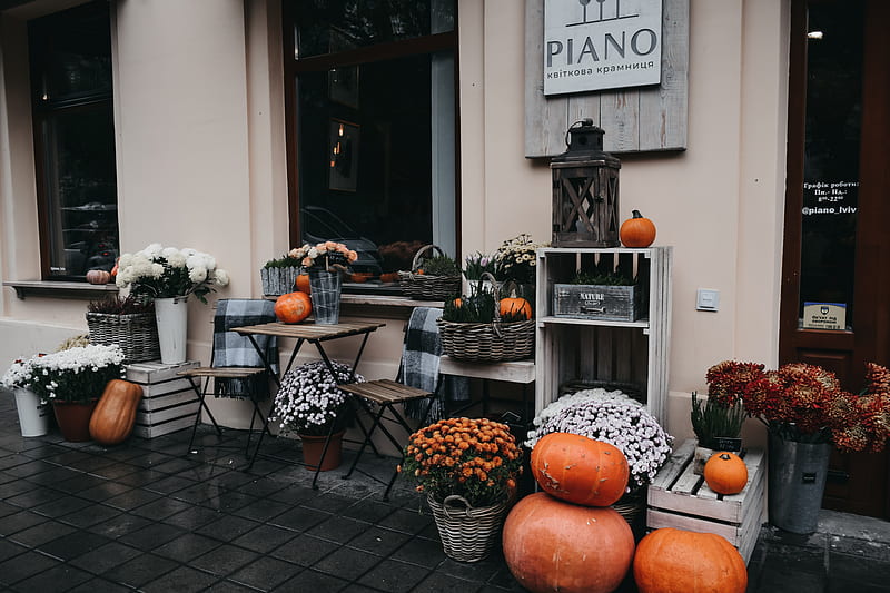 orange pumpkin beside patio table and plants, HD wallpaper
