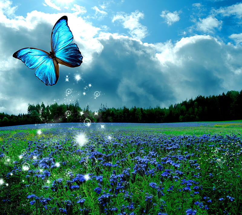 Butterfly Glow, flowers, meadow, shine, HD wallpaper