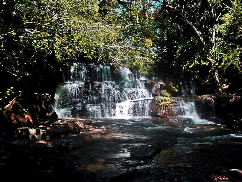 Small river in Ubajara Sierra's Hotel Forest Reserve, spirit, Nature, beautiness, lighten, HD wallpaper