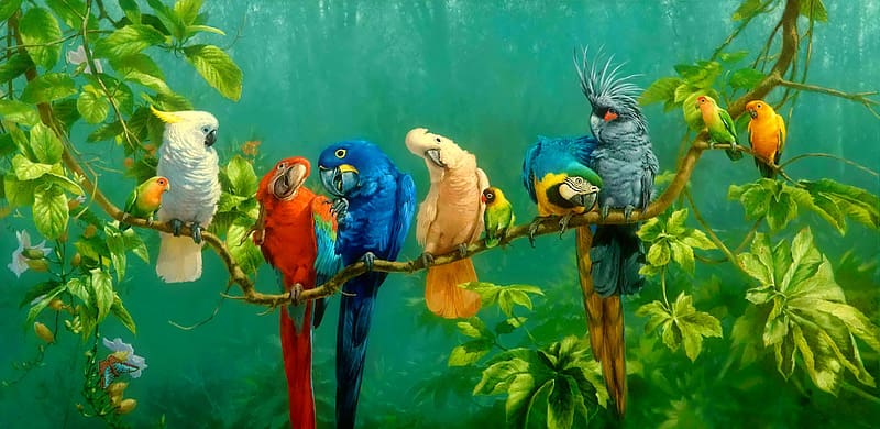 Birds, Bird, Leaf, Branch, Colors, Animal, Colorful, Tropical, Macaw, Cockatoo, Parrot, HD wallpaper