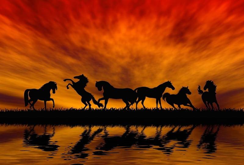 Sunset, horse, jump, animals, HD wallpaper