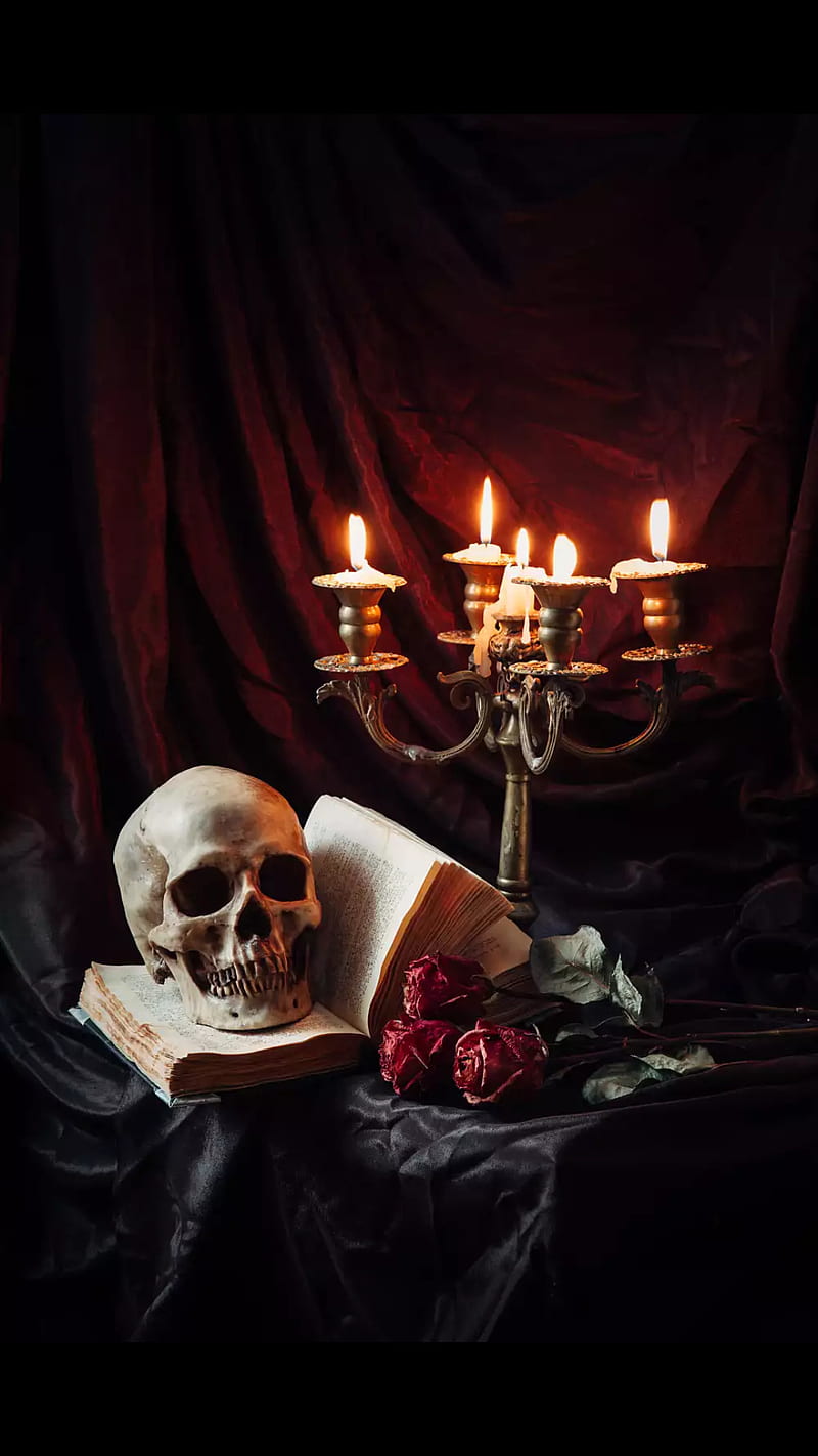Skull, book, candles, light, red, roses, HD phone wallpaper
