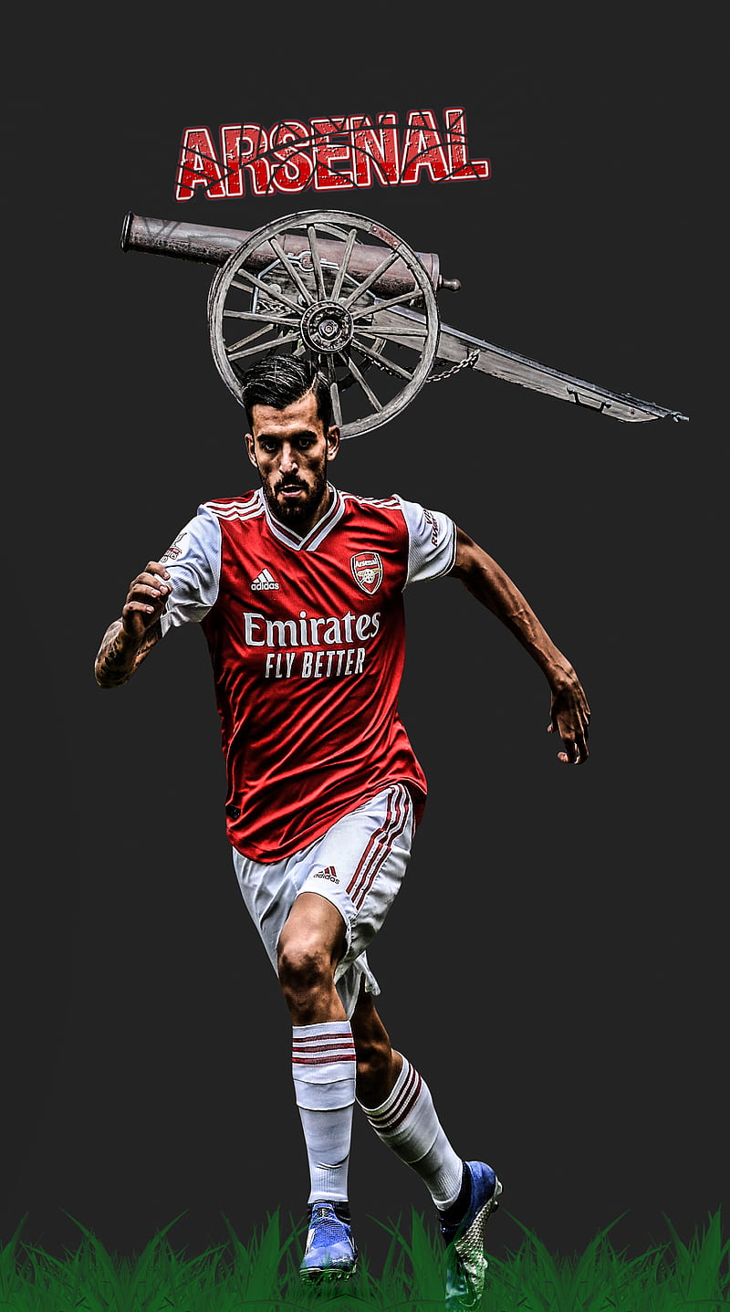 Dani Ceballos, arsenal, football, premier league, spain, HD phone wallpaper