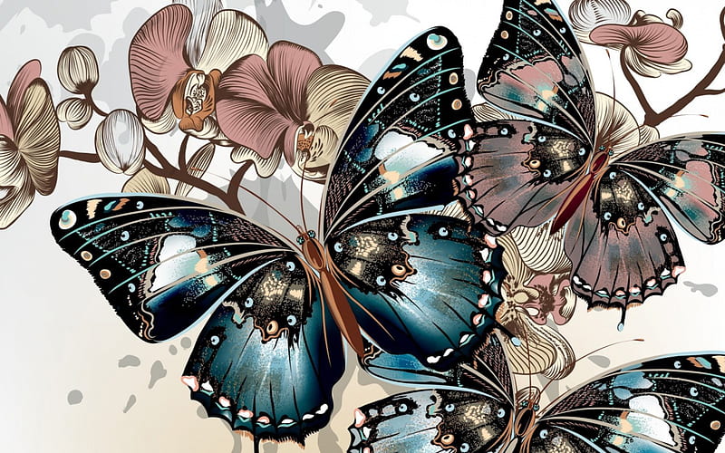 Butterflies, wings, butterlfy, orchid, flower, white, pink, blue, HD wallpaper