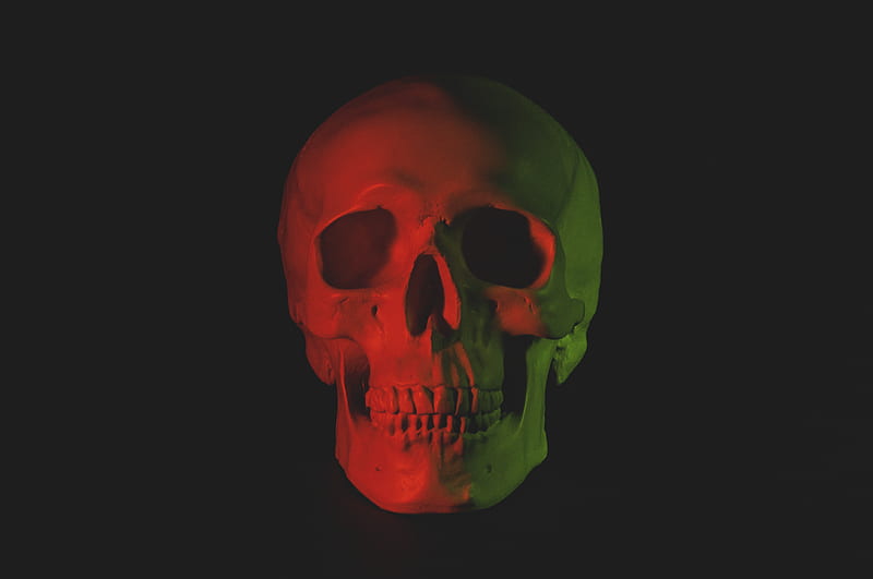 skull head bust with LED light, HD wallpaper