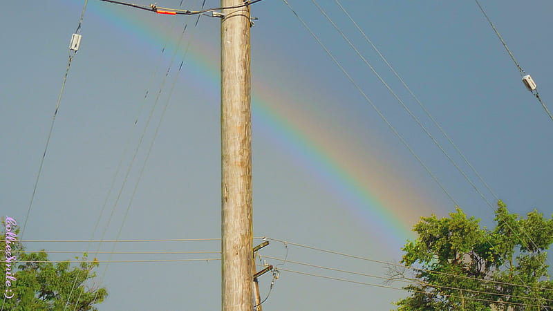 The Other Side of the Rainbow, skies, rainbows, natura1, co1orful, rainbow, trees, utility pole, wires, HD wallpaper