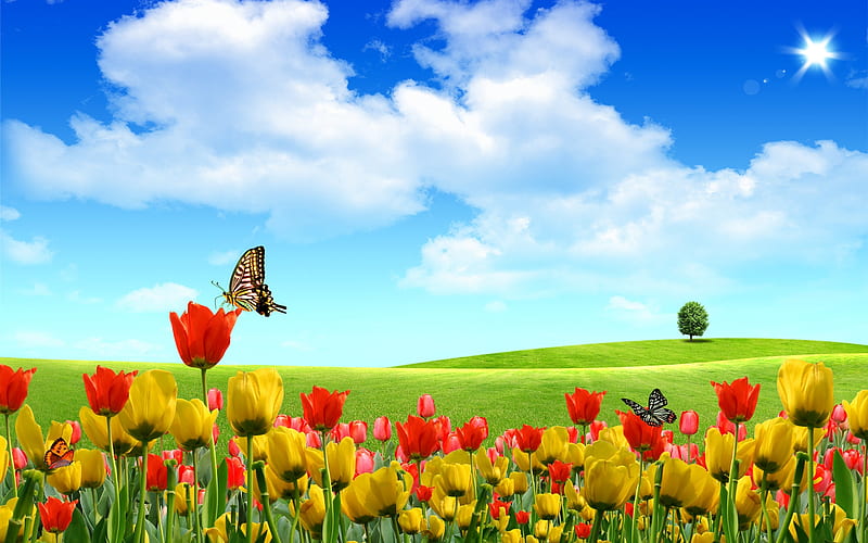 Springtime scene, Butterflies, Clouds, Sky, Grass, Flowers, Blue sky, HD wallpaper