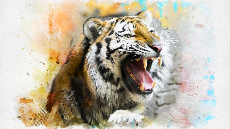 tiger, roar, artwork, big cats, Animal, HD wallpaper