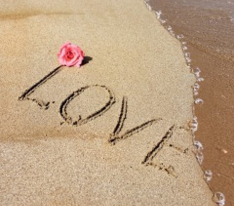 Love, beach, sand, rose, summer, sea, HD wallpaper