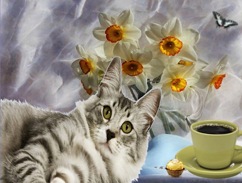  Buenos días, flores, café, gato, mariposa, Fondo de pantalla HD
