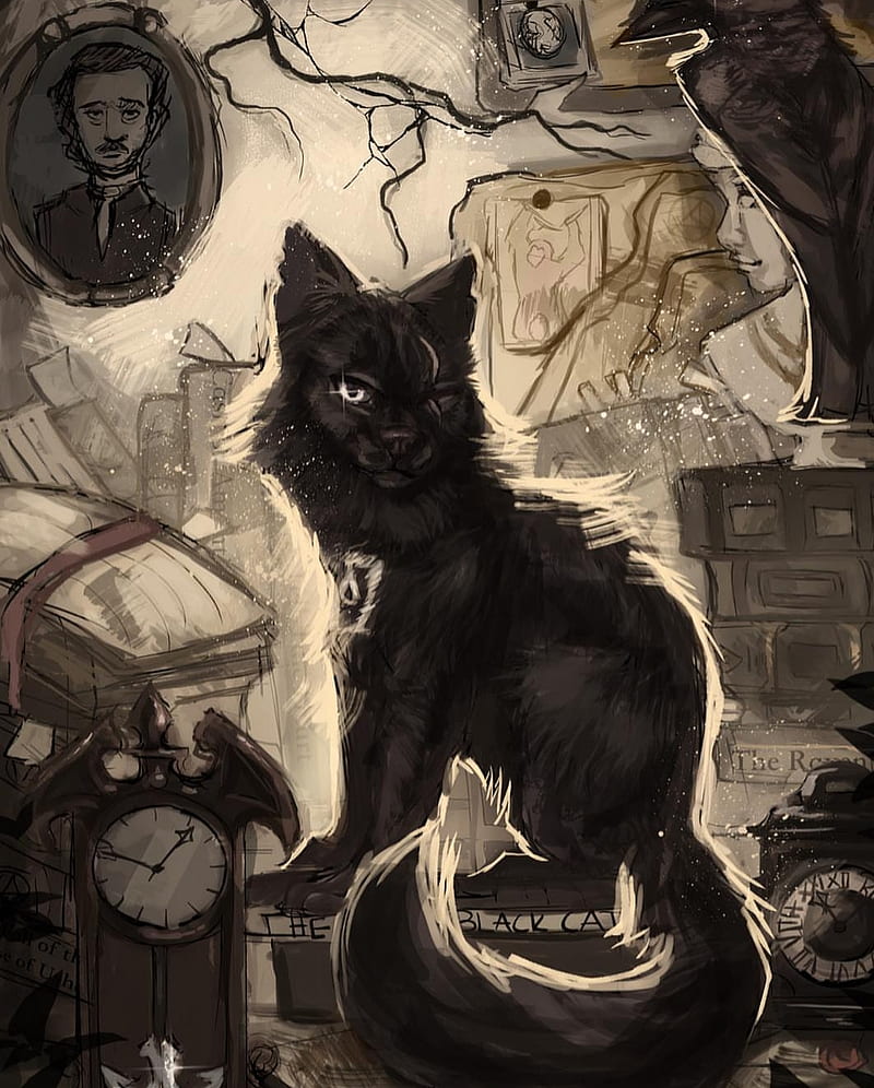 The Black Cat, allan, crow, edgar, poe, tan, HD phone wallpaper