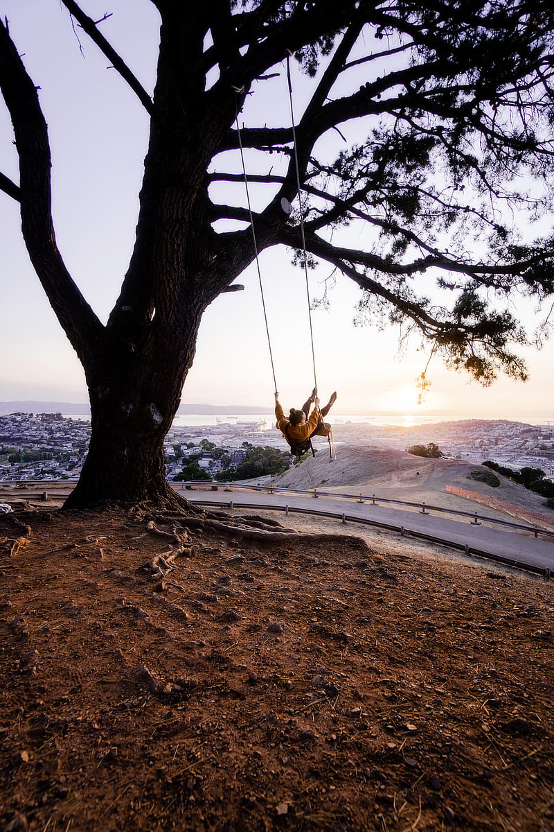 tree, swing, girl, nature, view, HD phone wallpaper