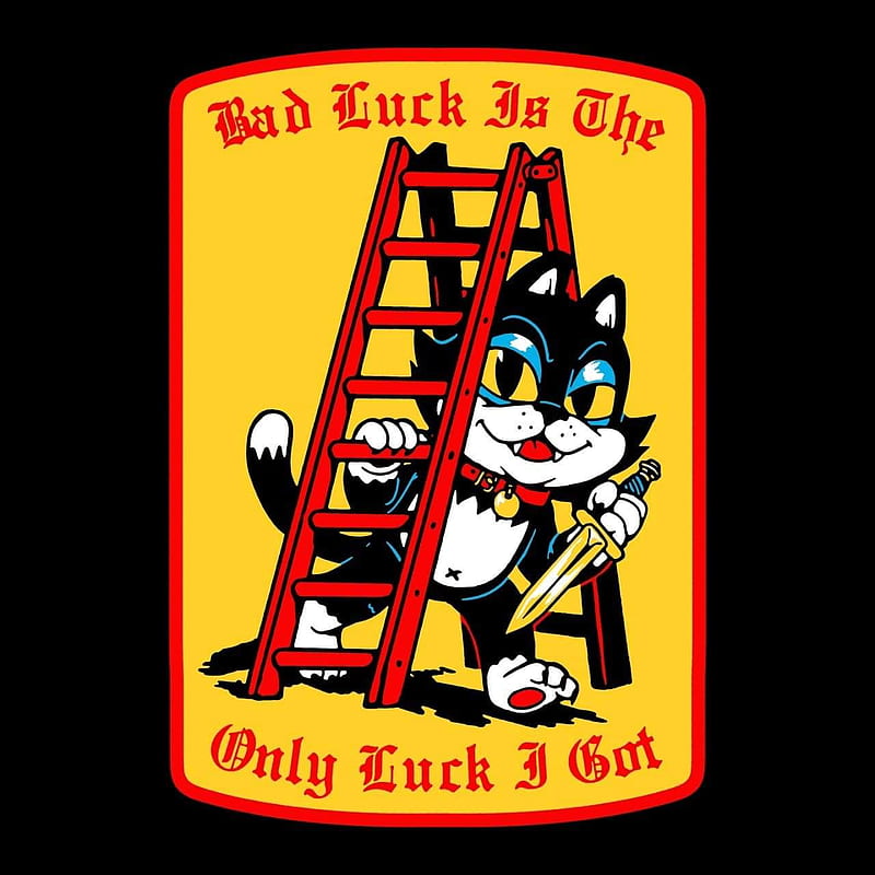 Bad luck, bad, cat, luck, HD phone wallpaper | Peakpx
