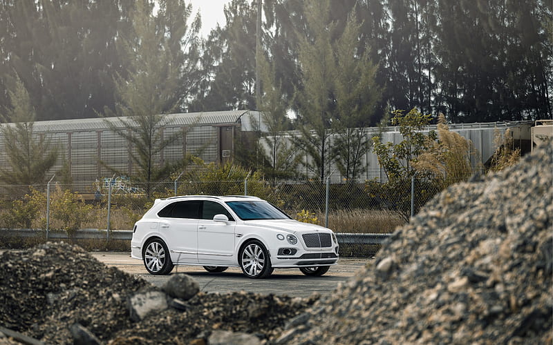 Bentley Bentayga, 2017, White Bentayga, VAG, white SUV, British crossovers, luxury cars, Bentley, HD wallpaper