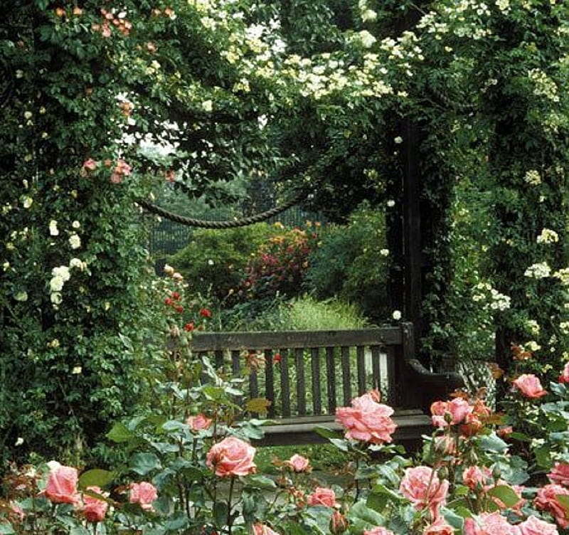 beautiful rose garden, flowers, garden, nature, bonito, roses, HD wallpaper