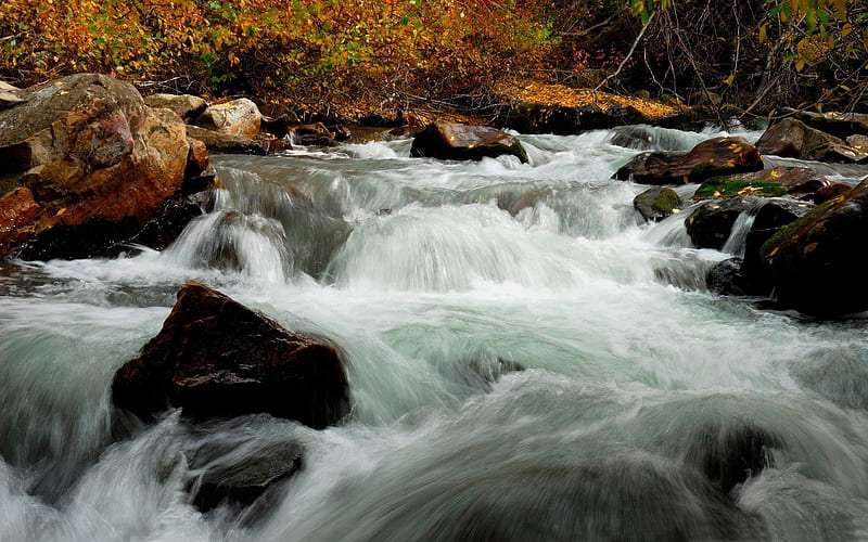 autumn mountain creek-rivers Landscape, HD wallpaper