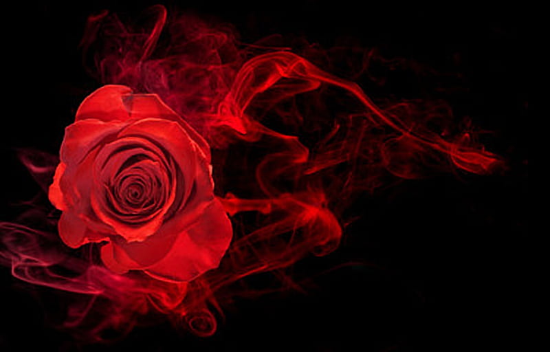 Red Rose, Abstract, Rose, Smoke, Flower, HD wallpaper