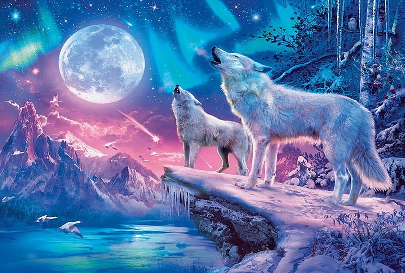 Full moon, wolf, pink, blue, night, moon, luminos, howl, iarna, winter, moon, fantasy, HD wallpaper