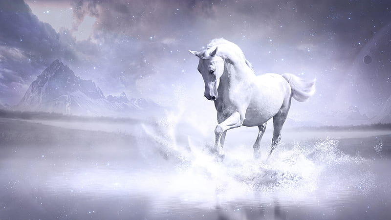 White Horse With Background Of Mountain Clouds And Stars Horse, HD wallpaper