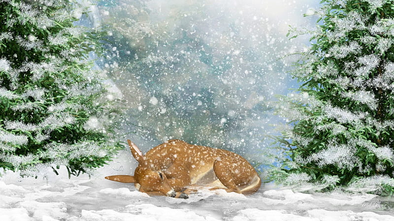 Winter Sleeping Fawn, rest, fawn, sleep, trees, baby, deer, winter, sweet, cold, pine, snowing, snow, fir, spruce, HD wallpaper