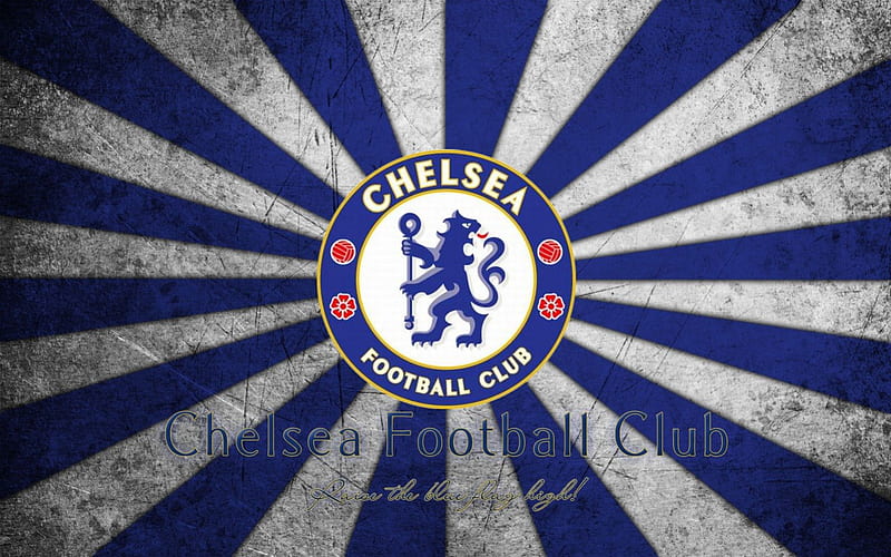 Chelsea, chelsea fc, blue, lion, flag, HD wallpaper