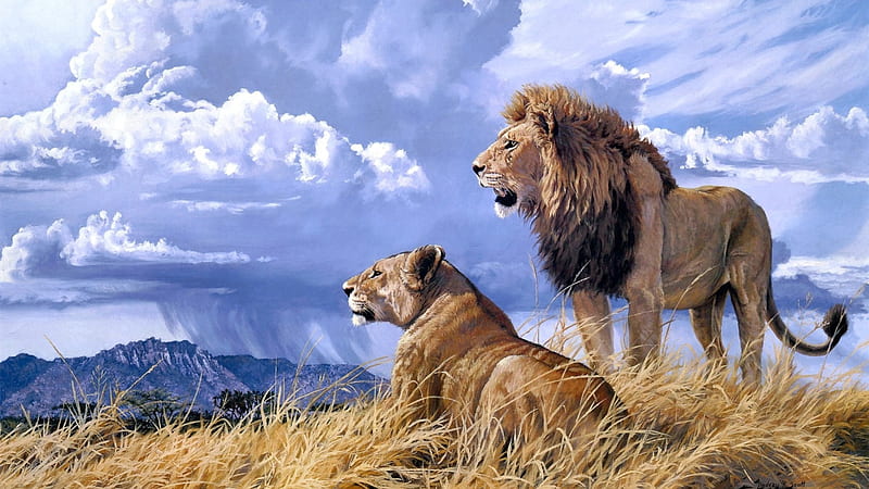 Leones con de nubes león, Fondo de pantalla HD | Peakpx