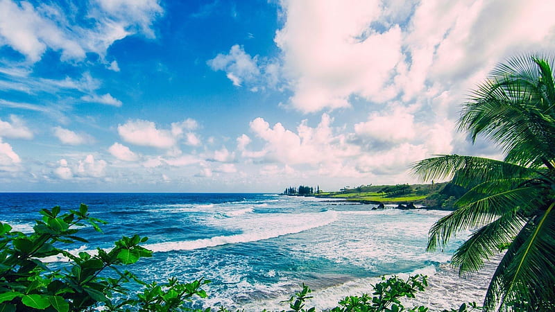 Beach, Hawaii Aesthetic, HD wallpaper | Peakpx