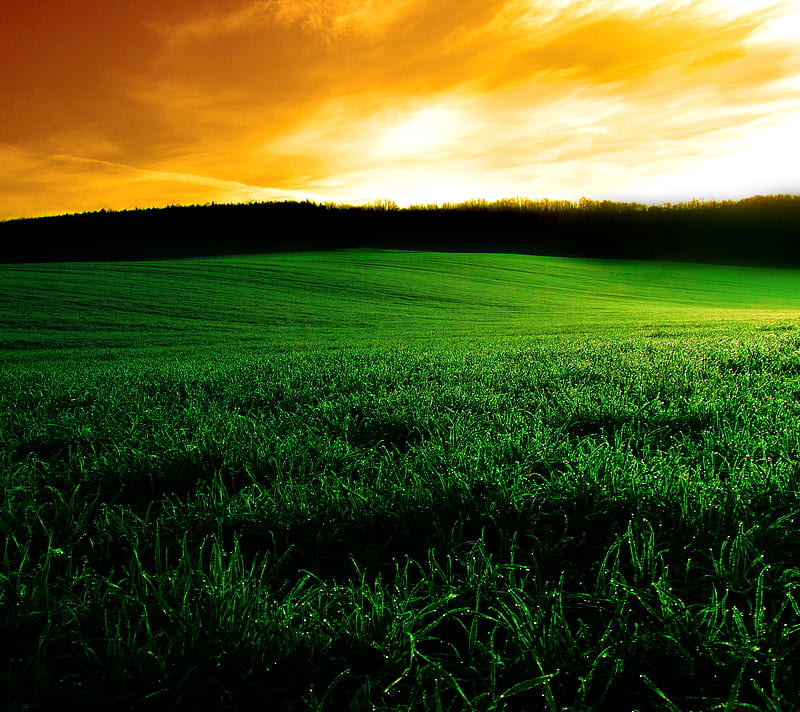 Green Land, another day, land view, new beginning, sunrise, HD wallpaper