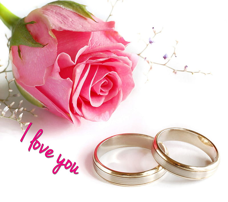 I Love You, flower, new, nice, pink, rings, rose, saying, wedding, HD  wallpaper | Peakpx