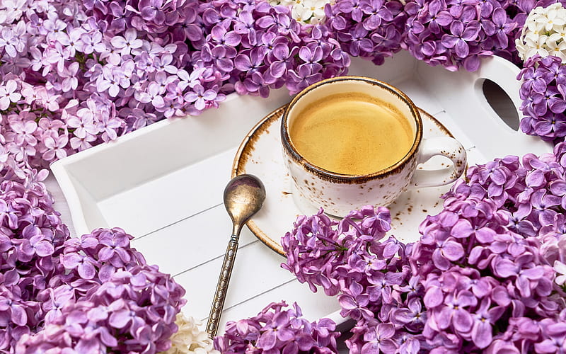 Enjoy!, lilac, spoon, coffee, cup, flower, spring, pink, HD wallpaper