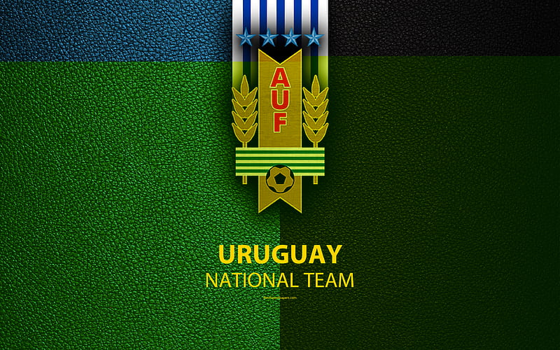 Uruguay national football team leather texture, Uruguayan Football Association, emblem, logo, football, Uruguay, HD wallpaper