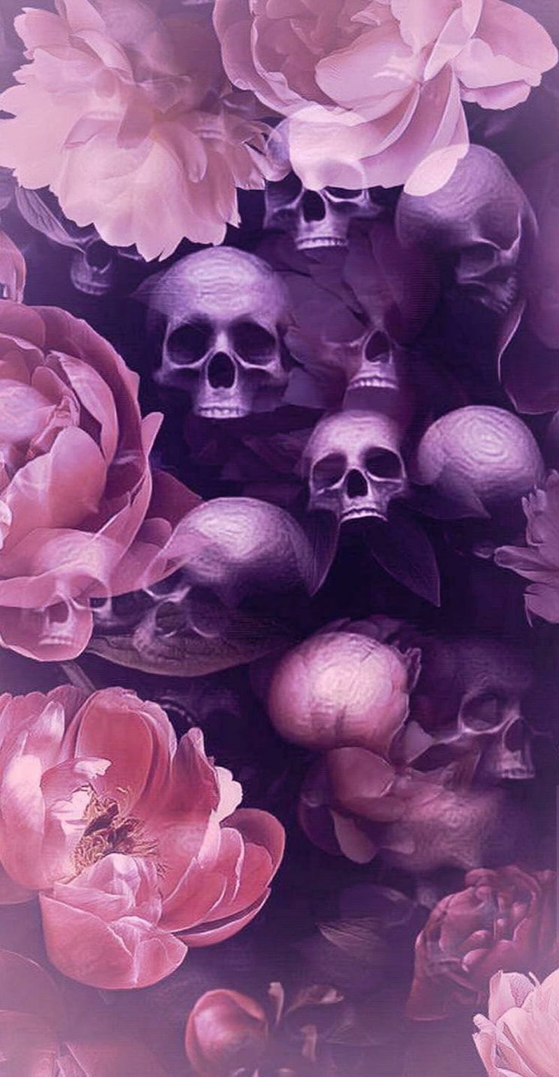Pastel , flower, flowers, pink, plants, purple, rose, roses, skull, skulls, HD phone wallpaper