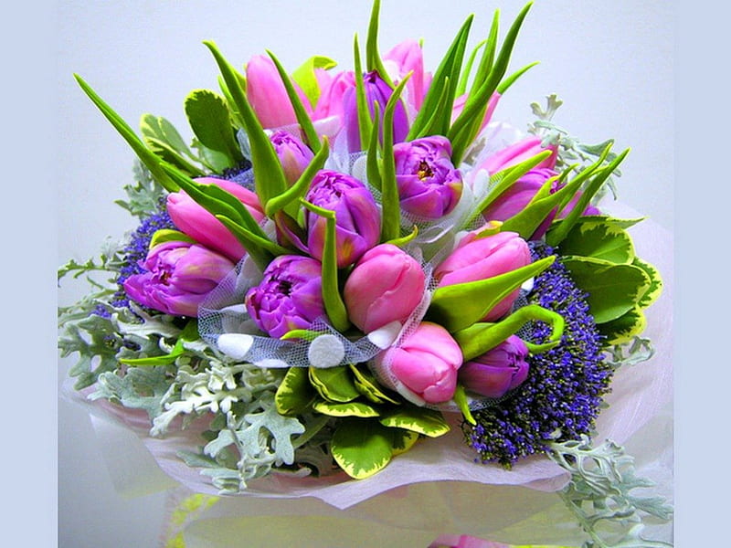 Flores para carismático, morado, verde, flores, colores, arreglo, tulipanes,  Fondo de pantalla HD | Peakpx