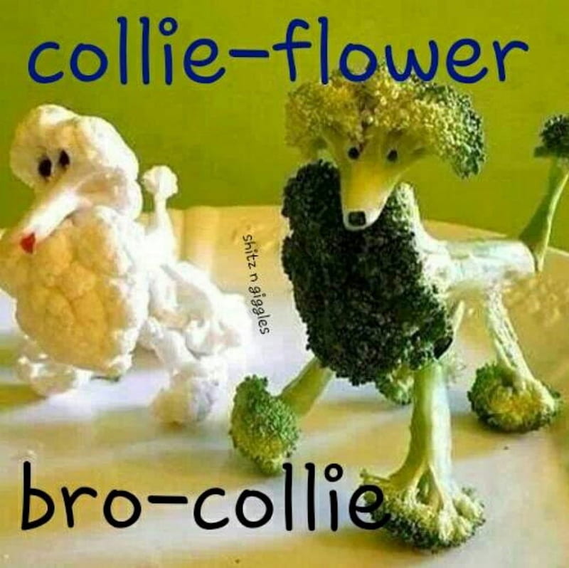 collie-flower and friend, FB, funny, vegetables, CollieSmile, HD wallpaper
