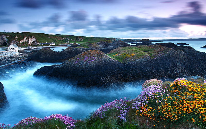Early Morning, rocks, rock, grass, high dynamic range, rocky, background, accident, floral, fog, countryside, stones, mult, wildflowers, flowres, creeks, path, flowers, cities, waterscape, declive, hills, art, ocean, oceanscape, waves, oceanside, purple, garden, seascape, violet, white, bonito, city, green, cliffs, blue, maroon, mist, shell, day, r, nature, misty, oceans, foggy, shore, house, orange, yellow, cabin, clouds, cenario, beauty, sunrise, morning, reflection, rivers, islands, lovely, cena, houses, black, sky, water, cool, awesome, blossoms, bay, landscape, colorful, brown, gray, sea, seaside, moss, channel, pink, amazing, multi-coloured, view, wild flowers, colors, spring, lake, seashore, peaceful, coastline, colours, coast, HD wallpaper
