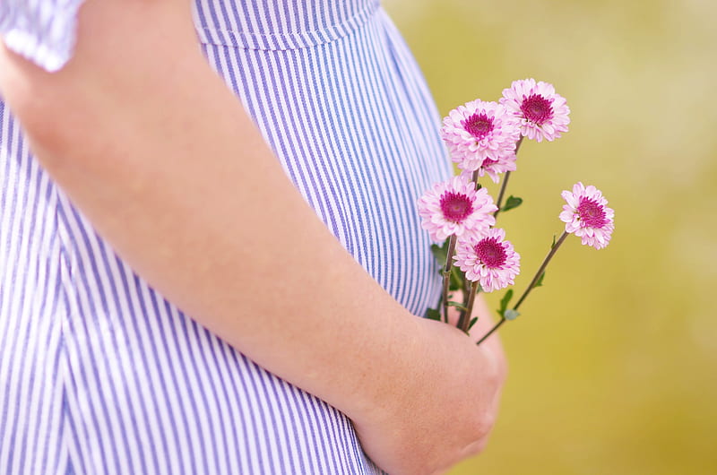 pregnant woman holding petaled flowers, HD wallpaper