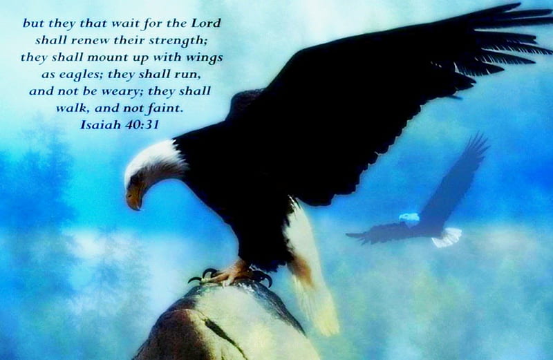 As Eagles, eagles, bible verses, eagle, birds, jesus, scriptures, bible, god, holy spirit, HD wallpaper