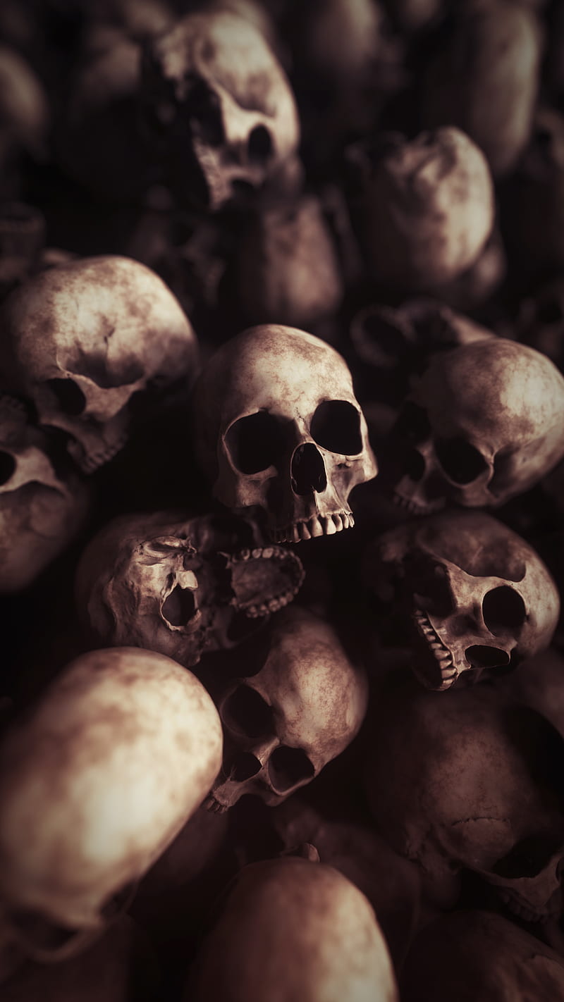 Skulls, 3d, bone, dead, halloween, heap, horror, scary, skeleton, skull,  trahko, HD phone wallpaper | Peakpx