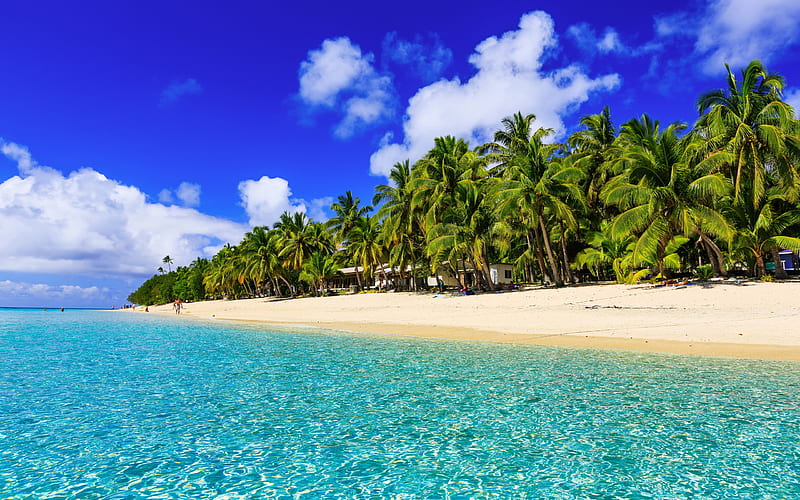 beach, summer, tropics, resort, palm trees, ocean, HD wallpaper