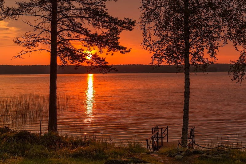 Red Sunset, sun, grass, high definition, nice, sunrise, waterscape, rivers, , black, trees, pines, water, cool, awesome, sunshine, landscape, red, sunsetscape, scenic, ed, sunny, bonito, twilight, trunks, leaves, sunsets, mirror, scenery, night, amazing, reflex, lakes, view, colors, leaf, dark, plants, reflections, rass, scene, HD wallpaper