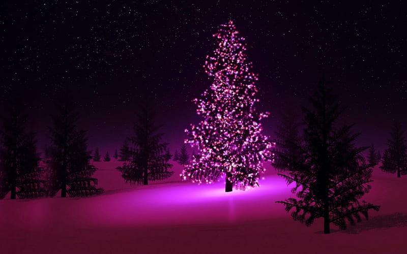 Merry Christmas!, tree, christmas, dark, black, fir, pink, lights, night, HD wallpaper
