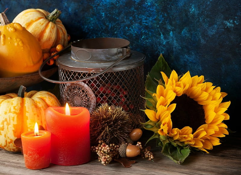 Autumn Still Life, Fall, lantern, acorns, sunflower, gourds, candles, still life, nuts, flame, berries, flower, Autumn, pumpkins, HD wallpaper