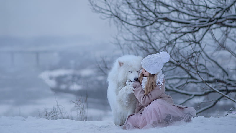 Cute Little Girl Is Playing With Samoyed Dog Around Snow During Winter Cute, HD wallpaper