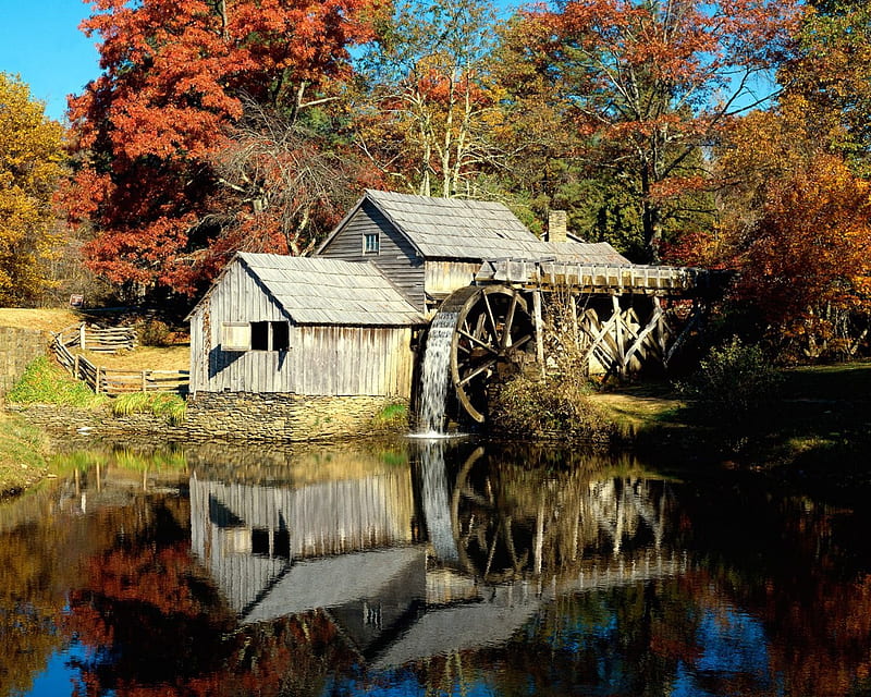 watermill, forest, house, water, mill, nature, trees, lake, HD wallpaper
