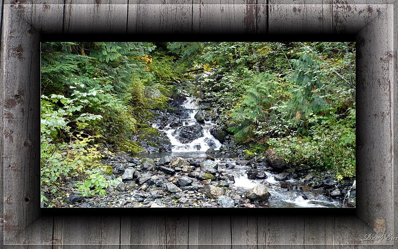 Creek in the Fall, forest, fall, , autumn, washington, creek, framed, HD wallpaper