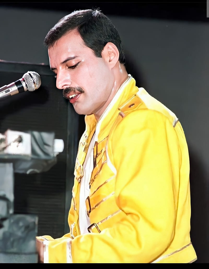 Freddie Mercury , banda, cantante, concierto, escenario, freddie mercury, queen, HD phone wallpaper