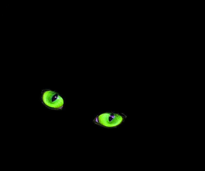 Cats eyes, pet, green, on black, cat, eyes, HD wallpaper | Peakpx