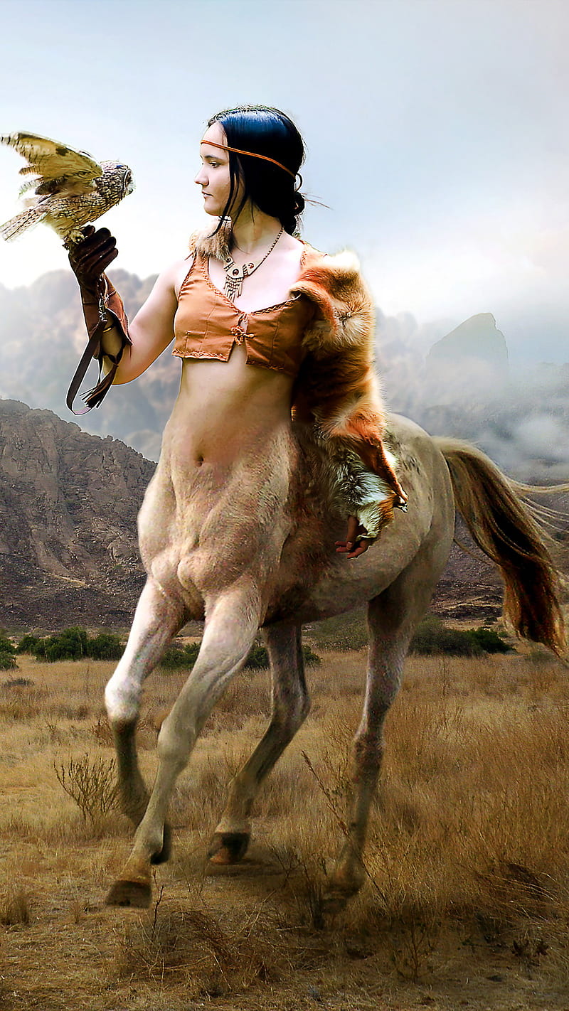 Centaurs Falcon, art, donkey, donkeys, fantasy, girl, horse, horses, kong, white, wild, HD phone wallpaper
